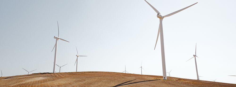 Low Carbon - Low Carbon Featured Story